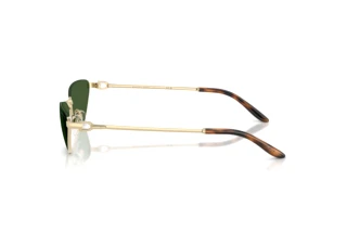 Seitenansicht Ralph Lauren RL7095 (911671)