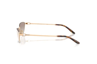 Seitenansicht Ralph Lauren RL7095 (94876E)