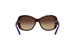 Rückansicht Ralph Lauren RL8144 (500313)