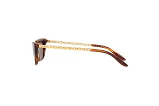 Seitenansicht Ralph Lauren RL8173 (500773)