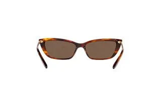Rückansicht Ralph Lauren RL8173 (500773)