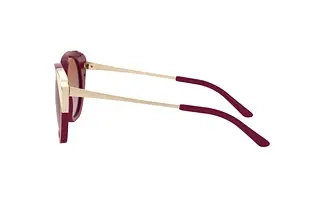 Seitenansicht Ralph Lauren RL8178 (579439)