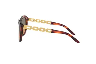 Seitenansicht Ralph Lauren RL8184 (500718)