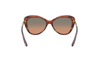 Rückansicht Ralph Lauren RL8184 (500718)