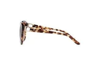 Seitenansicht Ralph Lauren RL8190Q (605613)