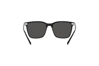 Rückansicht Ralph Lauren RL8199 (500187)