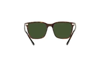 Rückansicht Ralph Lauren RL8199 (500371)