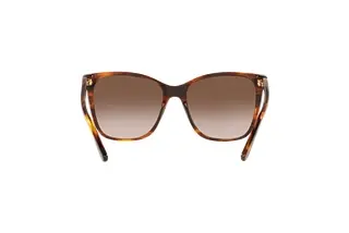 Rückansicht Ralph Lauren RL8201 (500713)