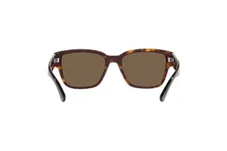 Rückansicht Ralph Lauren THE RL 50 (RL8205 - 500373)