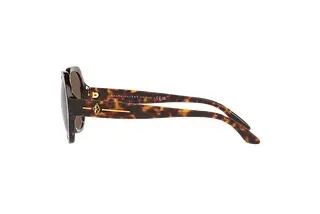 Seitenansicht Ralph Lauren RL8208 (500373)