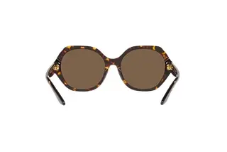 Rückansicht Ralph Lauren RL8208 (500373)
