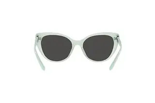 Rückansicht Ralph Lauren RL8215BU (608287)
