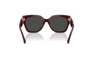 Rückansicht Ralph Lauren THE OVERSZED RICKY (RL8221 - 508387)