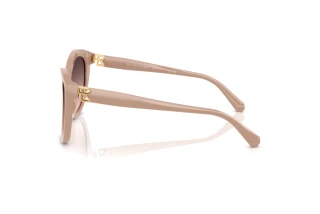 Seitenansicht Ralph Lauren RL8225U (6218U8)