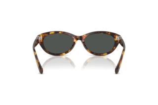 Rückansicht Ralph Lauren RL8226U (513487)