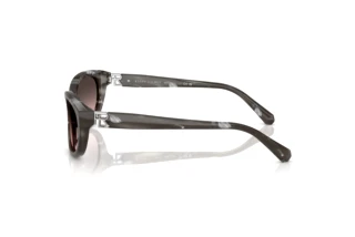 Seitenansicht Ralph Lauren RL8226U (617546)