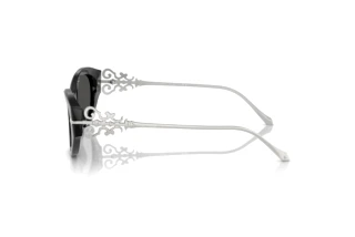 Seitenansicht Ralph Lauren RL8227U (500187)