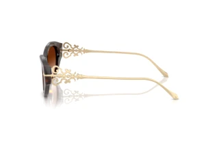 Seitenansicht Ralph Lauren RL8227U (500374)