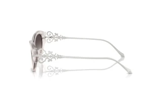 Seitenansicht Ralph Lauren RL8227U (611208)