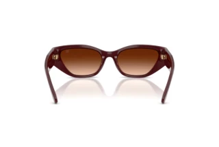 Rückansicht Ralph Lauren RL8231U (551674)