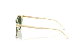 Seitenansicht Ralph Lauren RL8233U (503471)