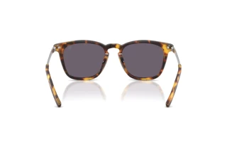 Rückansicht Ralph Lauren RL8233U (51341A)