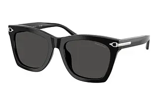Ralph Lauren RL 8235U 500187
