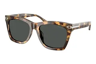 Ralph Lauren RL8235U 617887 GreySpotty Havana