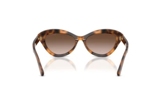 Rückansicht Ralph Lauren RL8236U (608913)