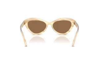 Rückansicht Ralph Lauren RL8236U (617673)