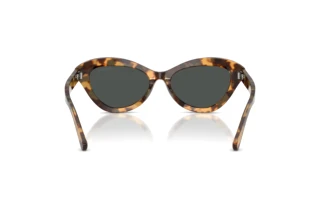 Rückansicht Ralph Lauren RL8236U (617887)