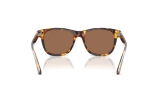 Rückansicht Ralph Lauren RL8239U (513473)