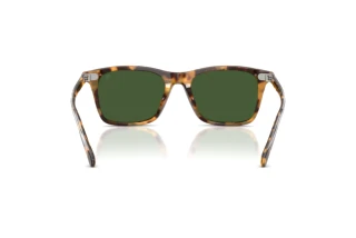 Rückansicht Ralph Lauren RL8242U (633971)