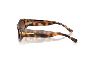 Seitenansicht Ralph Lauren RL8243U (608913)