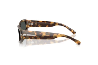 Seitenansicht Ralph Lauren RL8243U (617887)