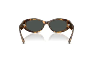 Rückansicht Ralph Lauren RL8243U (617887)