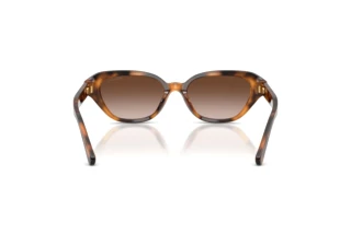 Rückansicht Ralph Lauren RL8244U (608913)