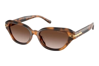 Vorderansicht Ralph Lauren RL8244U (608913)