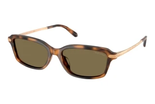 Vorderansicht Ralph Lauren RL8245U (608973)