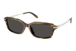 Vorderansicht Ralph Lauren RL8245U (637887)