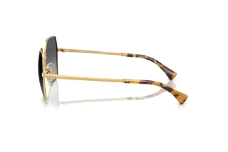 Seitenansicht Ralph RA4138 (9004T3)