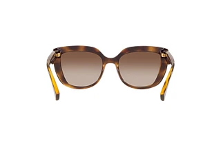 Rückansicht Ralph RA5254 (500313)