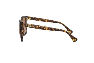 Seitenansicht Ralph RA5265 (583613)