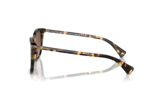 Seitenansicht Ralph VVCV (RA5293 - 6148T5)