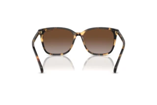 Rückansicht Ralph VVCV (RA5293 - 6148T5)