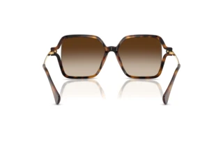 Rückansicht Ralph RA5319U (500313)