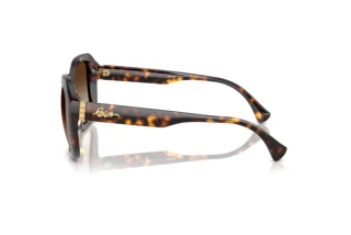 Seitenansicht Ralph RA5321U (500313)