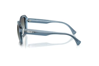 Seitenansicht Ralph RA5321U (606811)