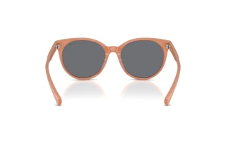 Rückansicht Ralph RA5331U (623787)