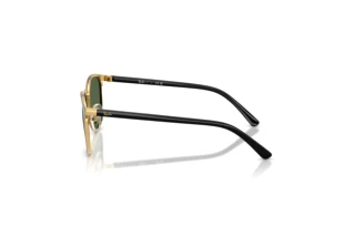 Seitenansicht Ray-Ban Kids RJ9552S (294/71)